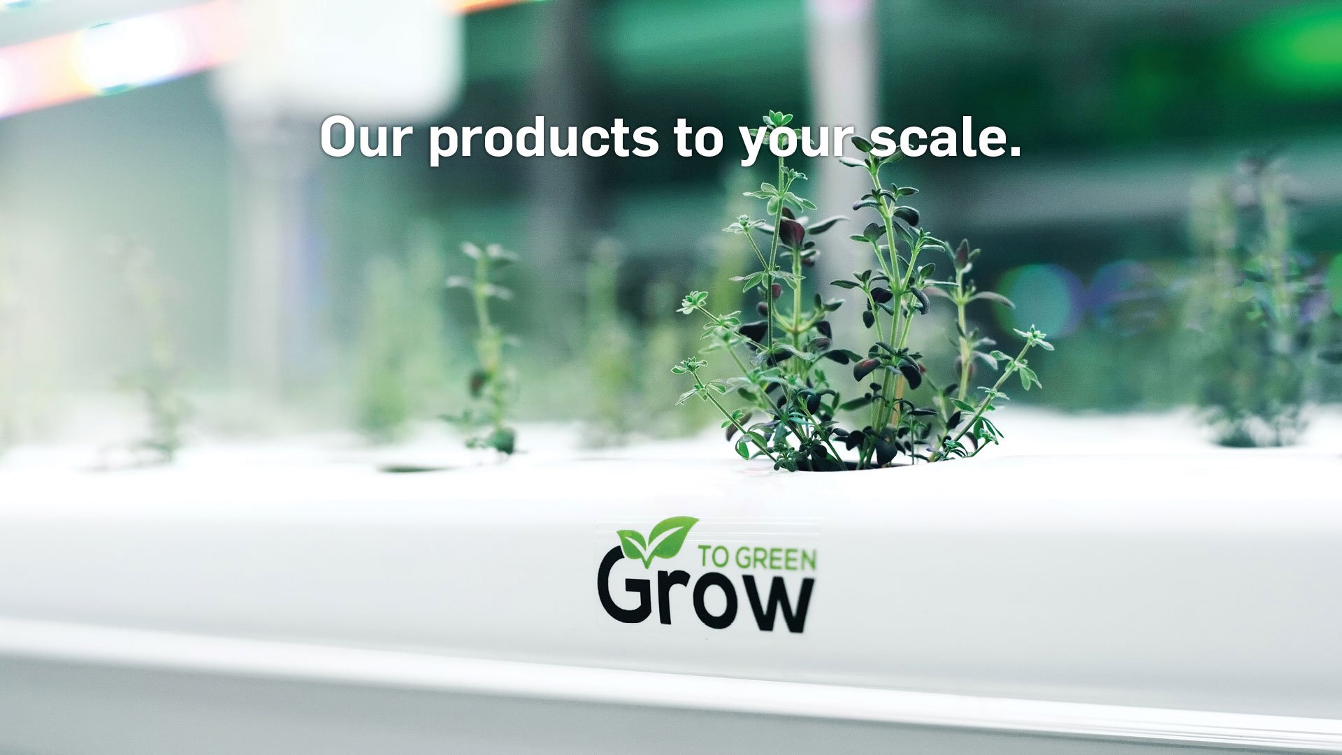 Our products to your scale2