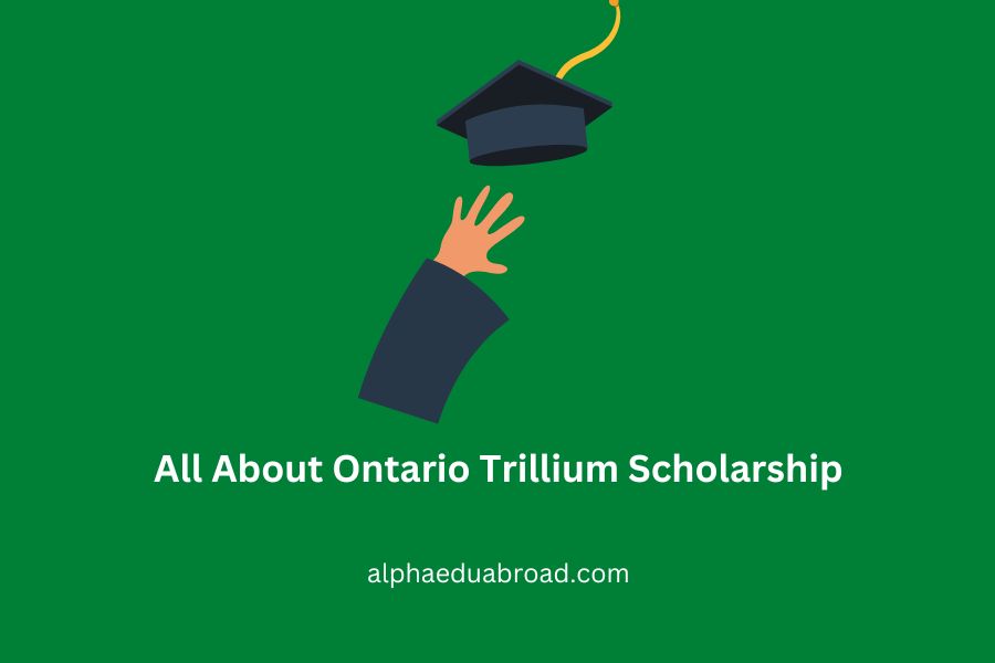 All About Ontario Trillium Scholarship