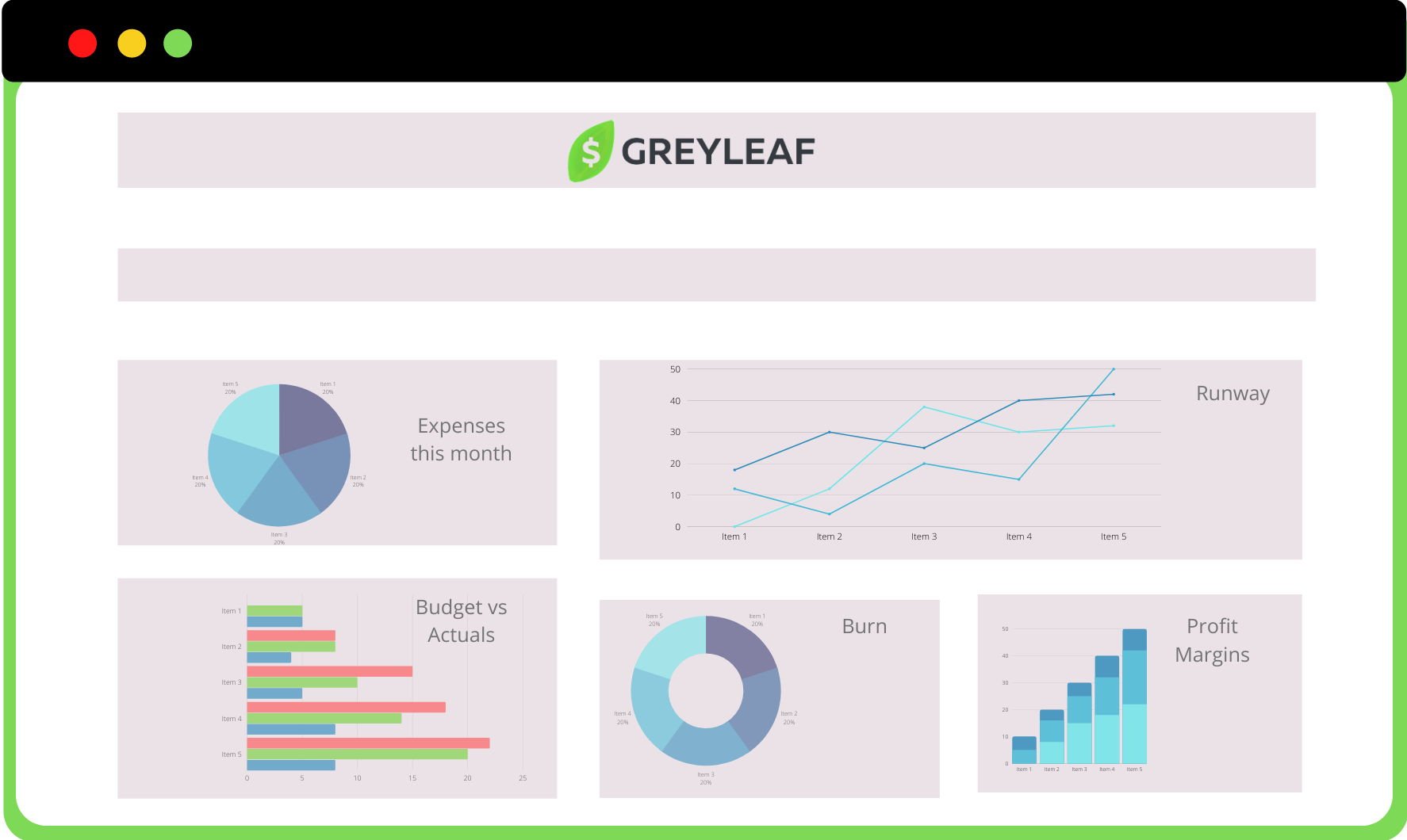 Greyleaf_Financial Analysis for Startups