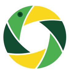 Ds logo symbol colorfull