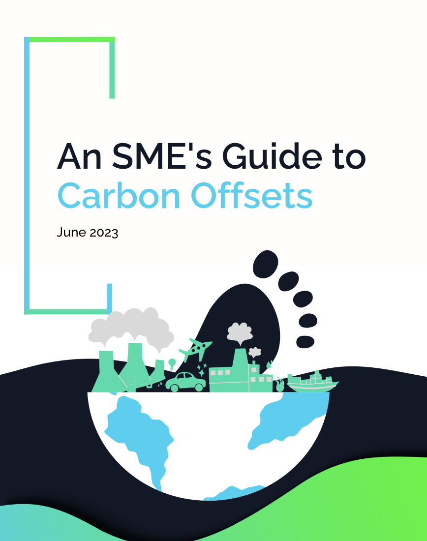 A guide to carbon offsets - cover page