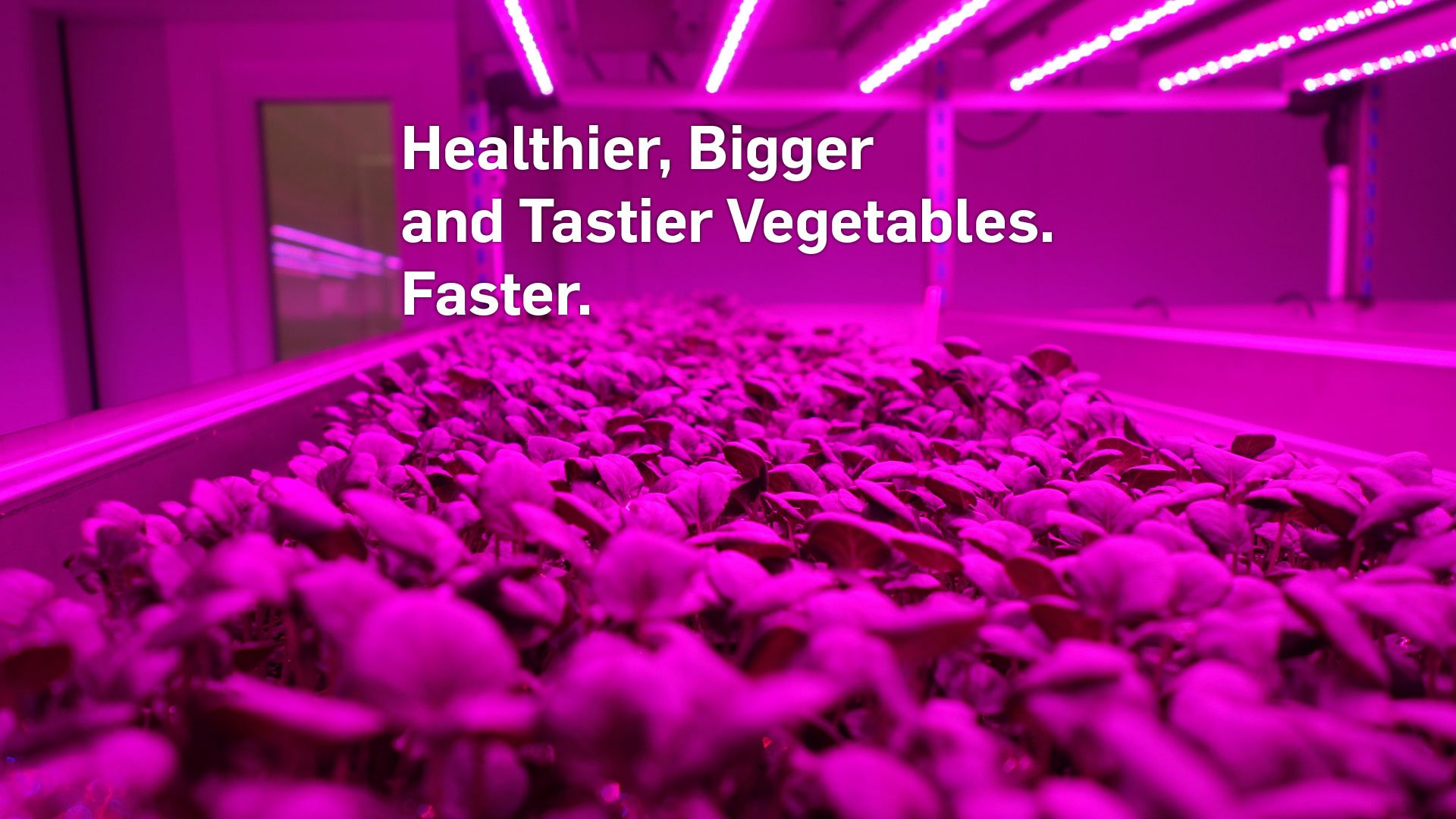 Healtier bigger and tastier vegetables faster