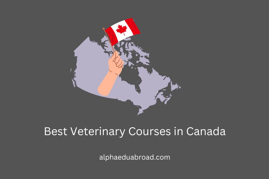Best Veterinary Courses in Canada