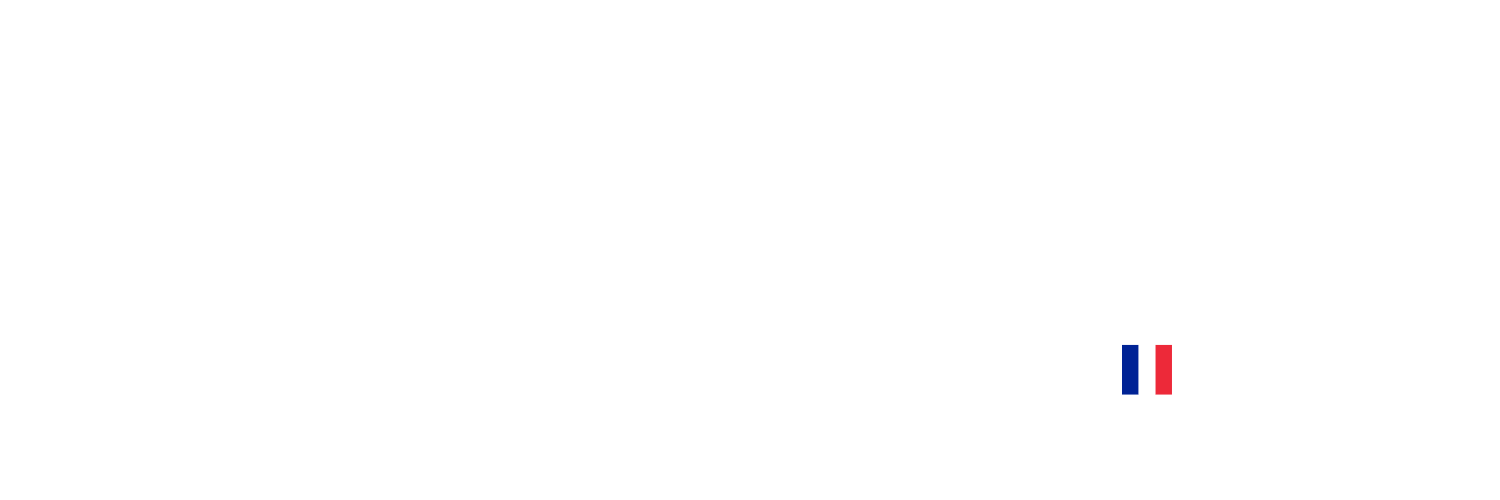 Logofrenchvoyanceblanc