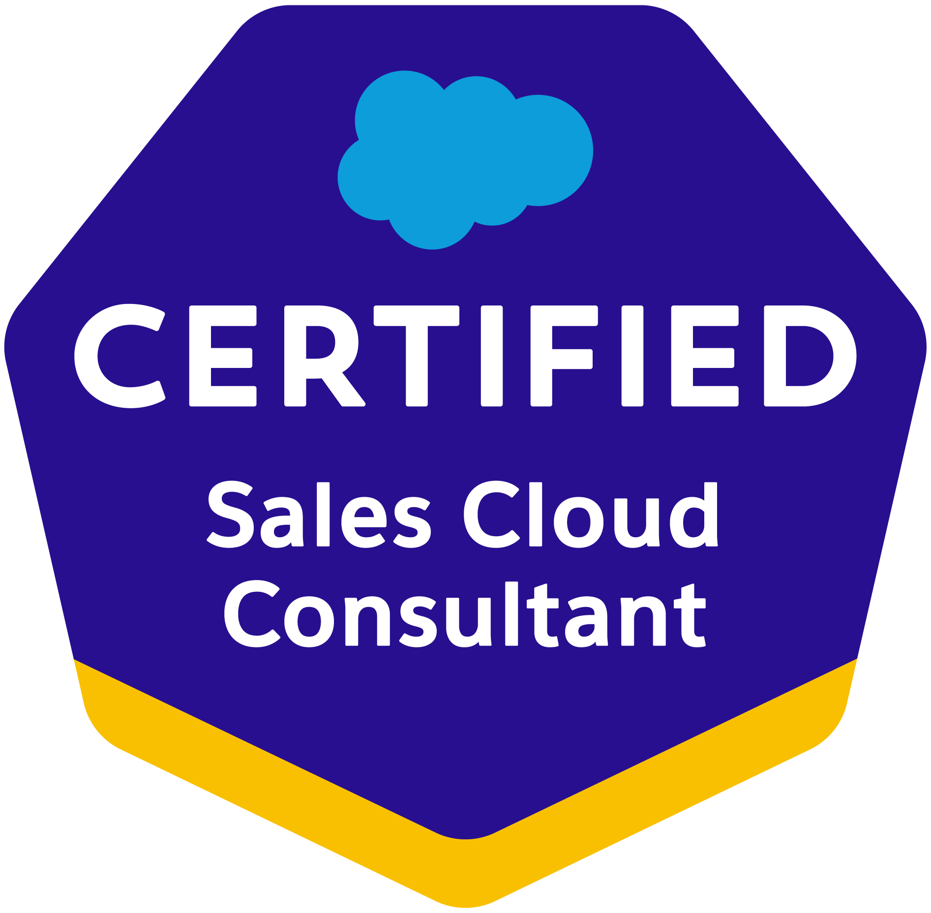 Sales cloud consultant