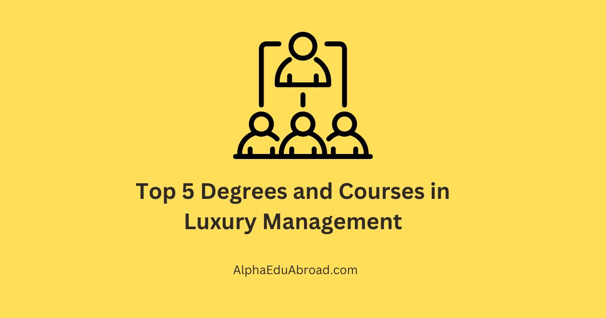 Top 5 Degrees and Courses in Luxury Management