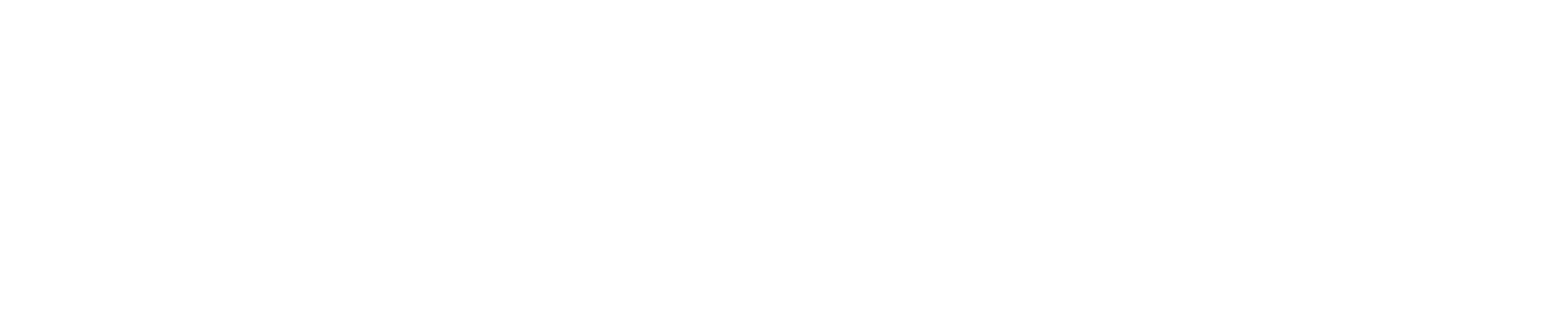 White logo   no background
