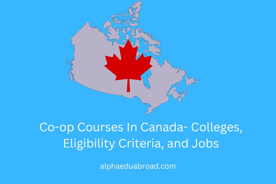 Co-op Courses In Canada- Colleges, Eligibility Criteria, and Jobs