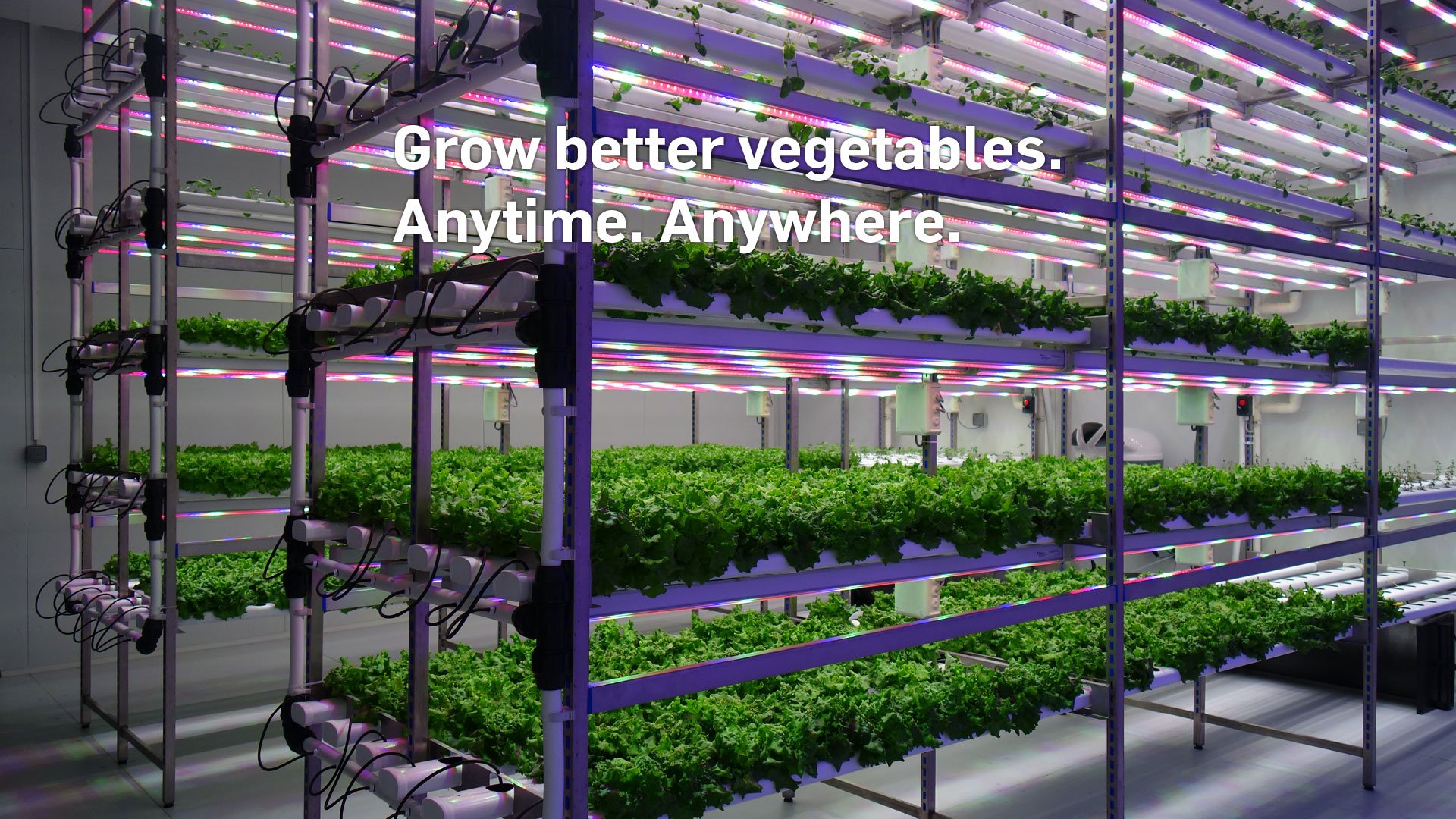 Grow better vegetables anytime anywhere 3