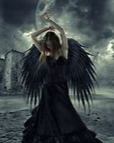 The Seductive Fallen Angel Collection 7