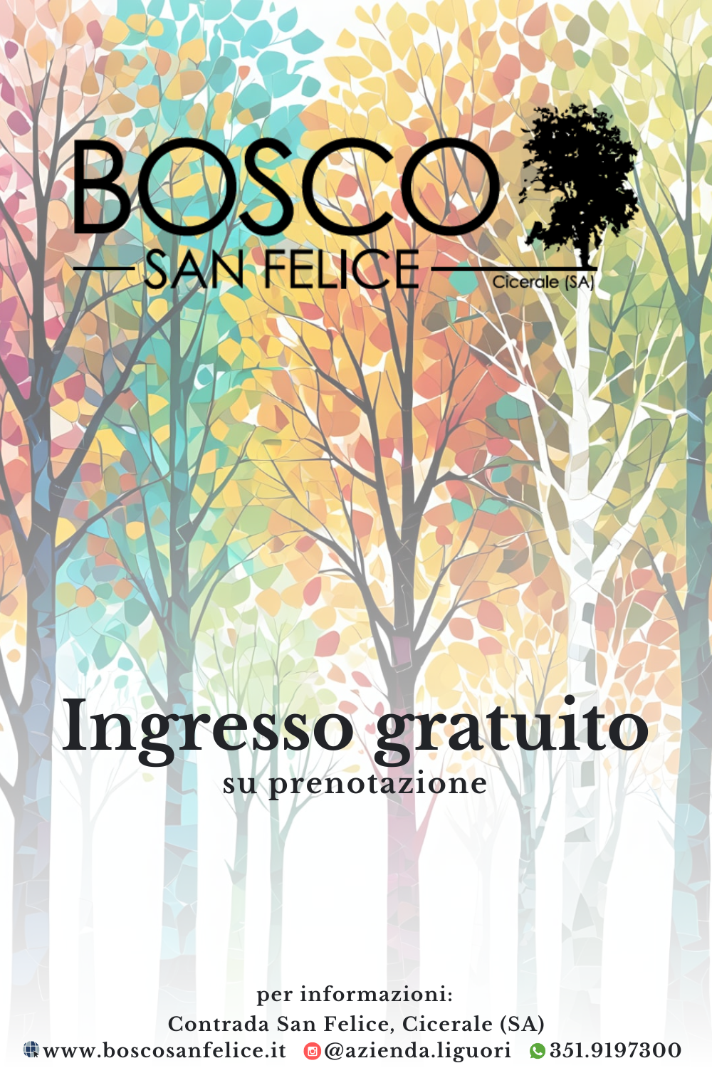 Ingresso al bosco