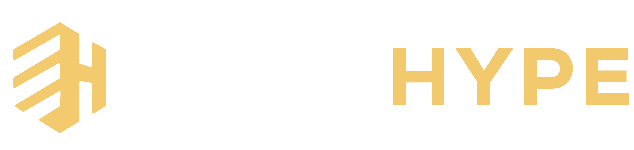 Ecom hype logo