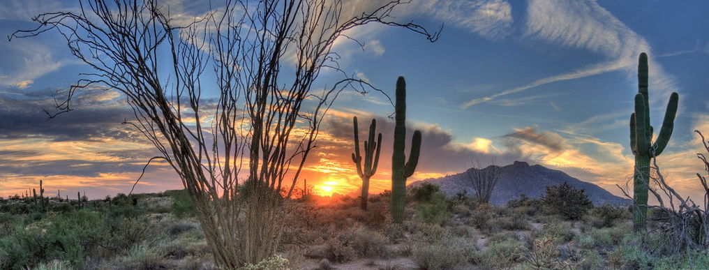 Arizona sunset