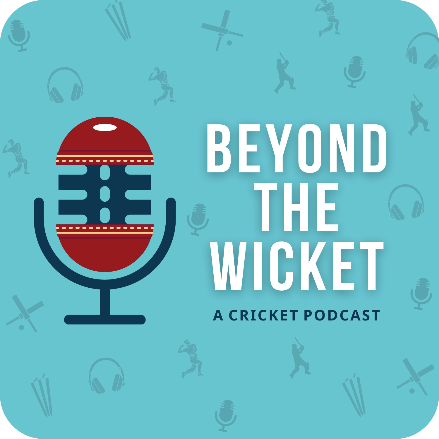 Beyond the wicket   logo