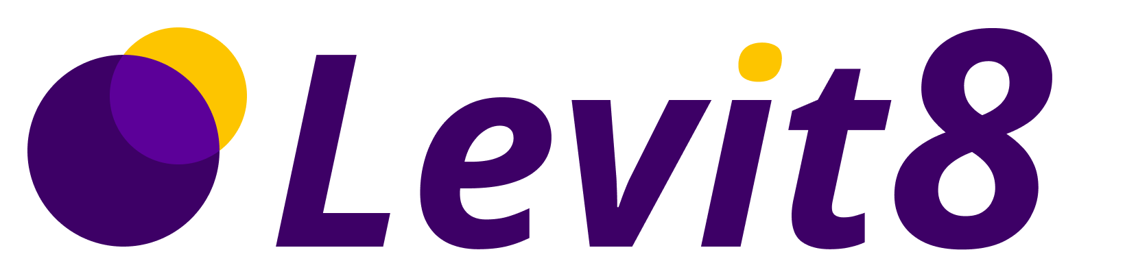 Levit8 logo   primary on light   transparent bg