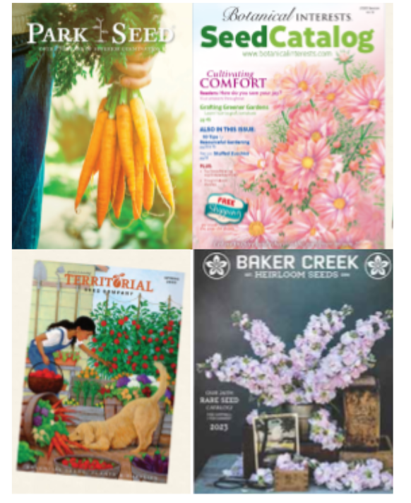 A selection of seed catalogs