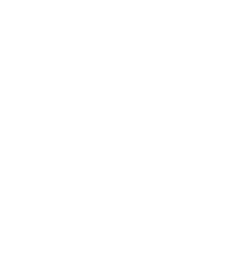 Wizard logo