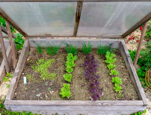 A photo of a cold frame used for season extension