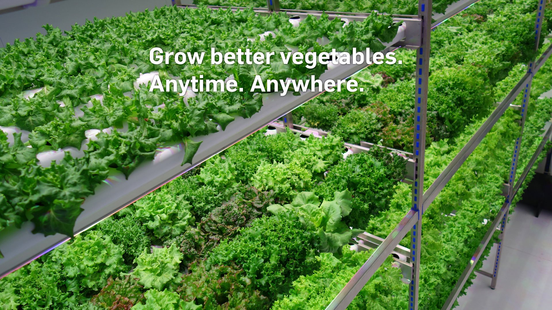 Grow better vegetables anytime anywhere 2