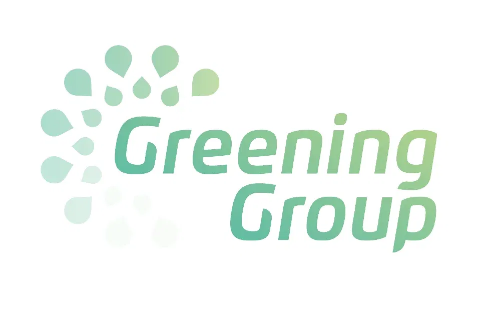 Greening Group Solar Strategy: Asset Rotation & Market Growth