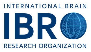 New logo 2022 ibro website top header banner 1500x185