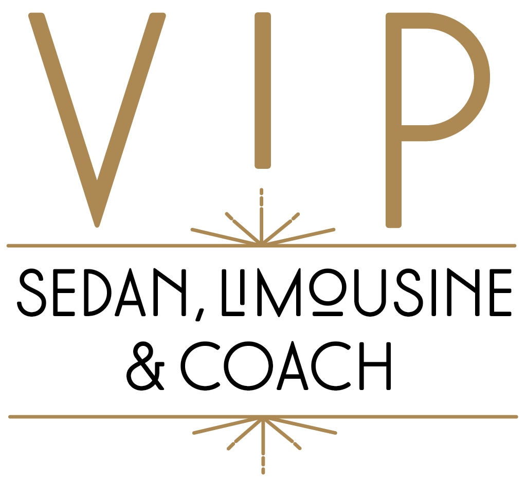 Vip logo 2023 white (002)