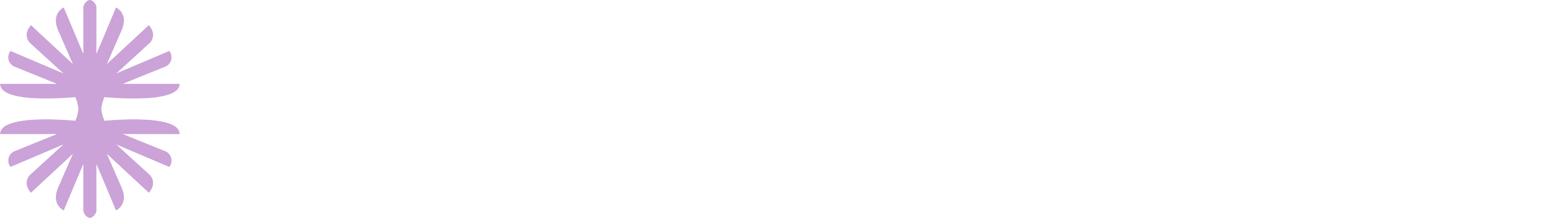 Kinkofa logo fullcolor reverse