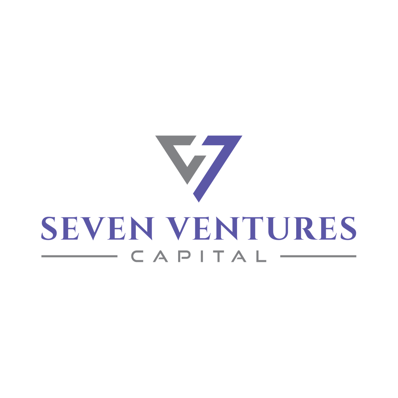 7 ventures capital