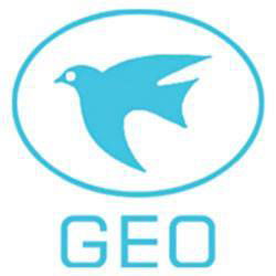 Geo logo