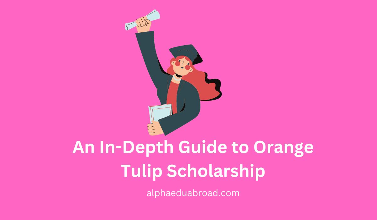 An In-Depth Guide to Orange Tulip Scholarship