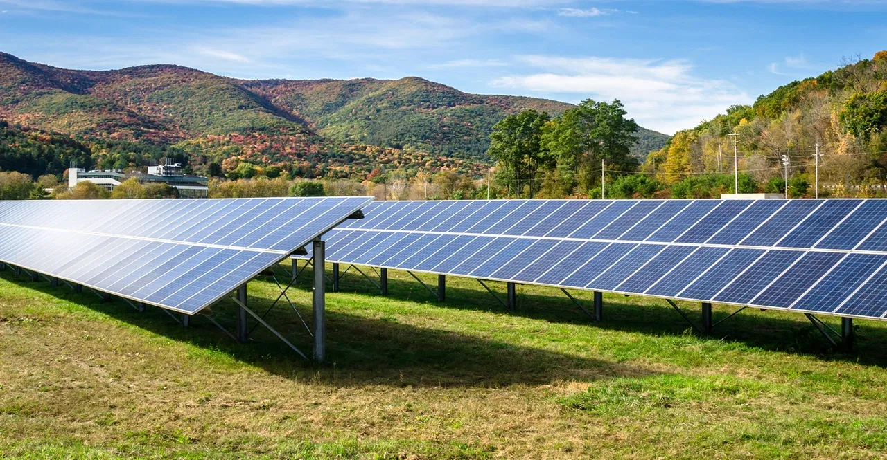 Pine Gate Renewables and Zions Bancorporation Close Financing on 75 MW South Carolina Solar Project