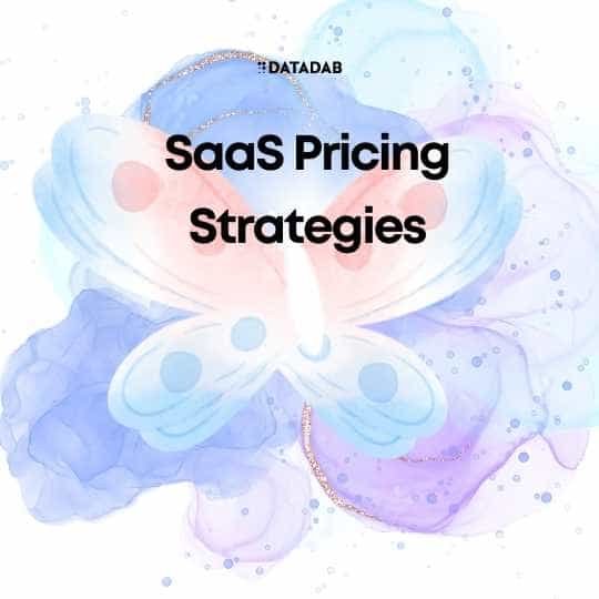 SaaS Pricing Strategies