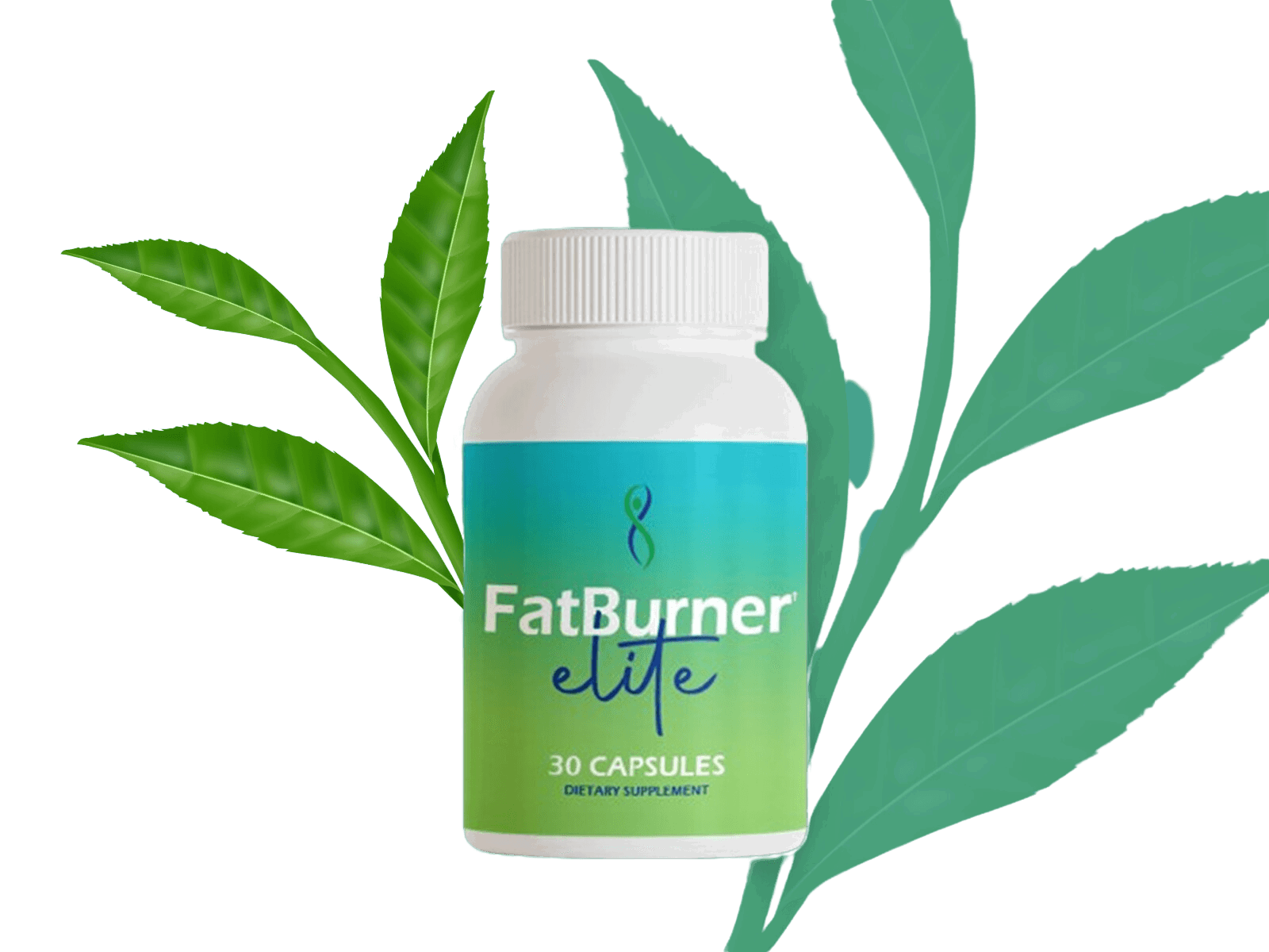 Fatburner elite 7