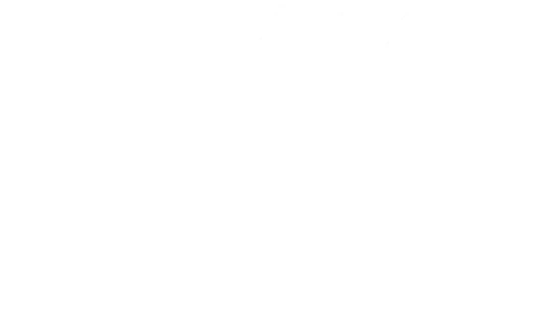 Client logo vayner 3