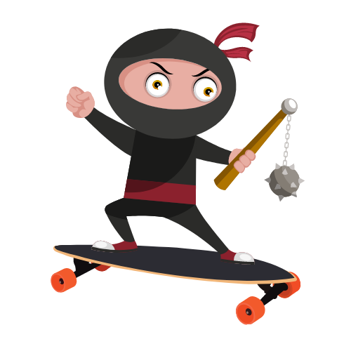 Onboard ninja (1)