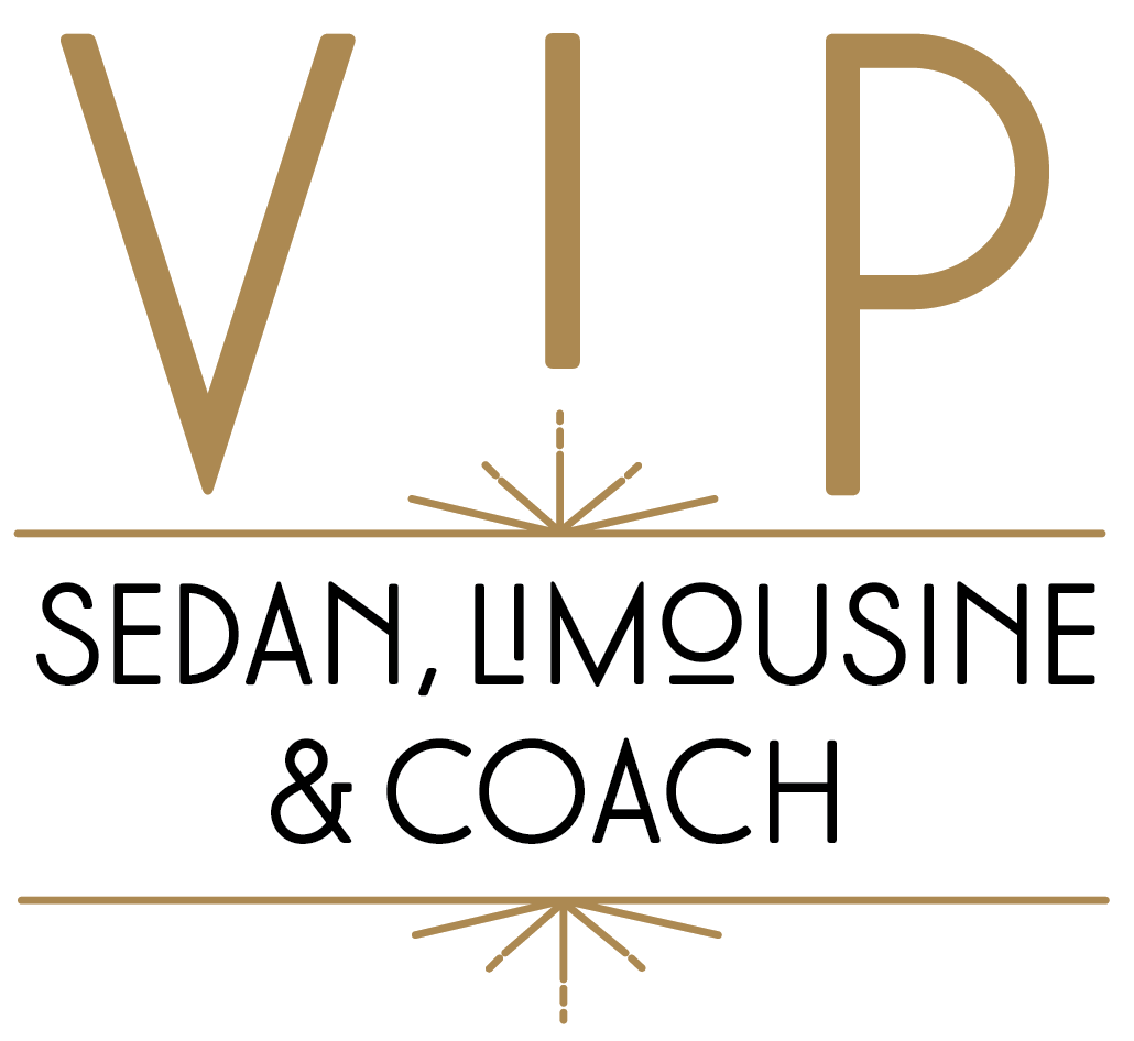 Vip logo 2023 white (002)