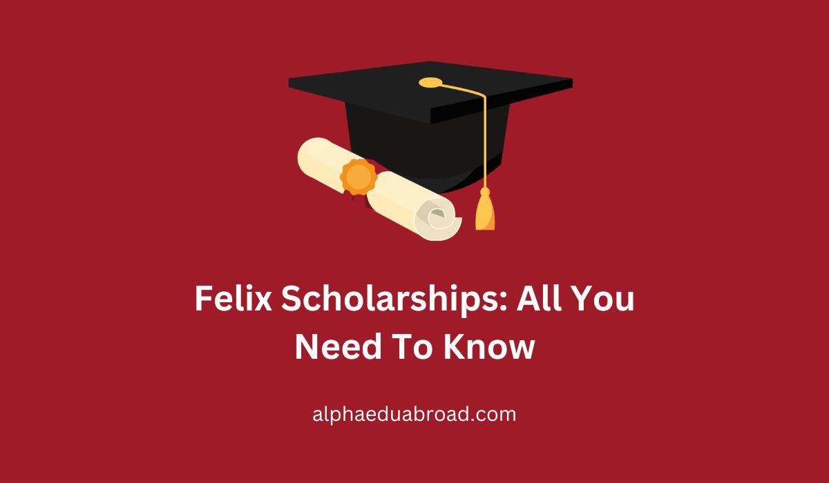 Felix Scholarships: All You Need To Know