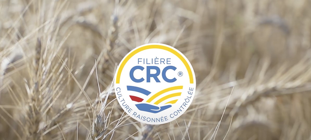 Logo CRC-Bildungsgang