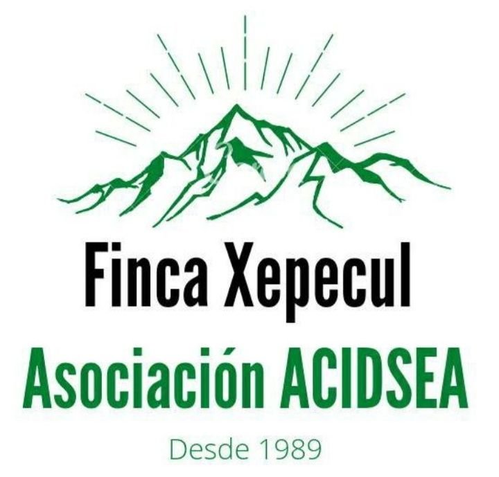 logo ACIDSEA