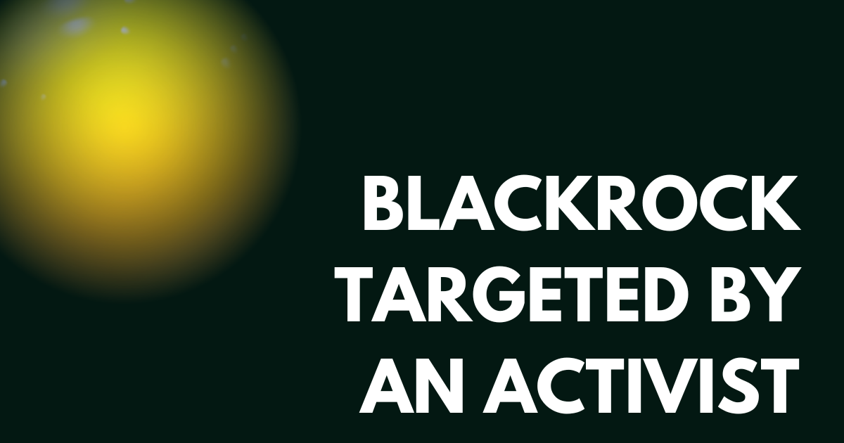 BlackRock targeted by activists