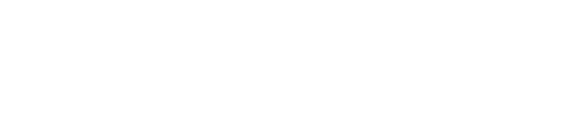 Data headhunters logo