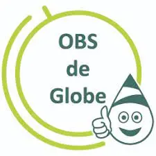 De globe logo