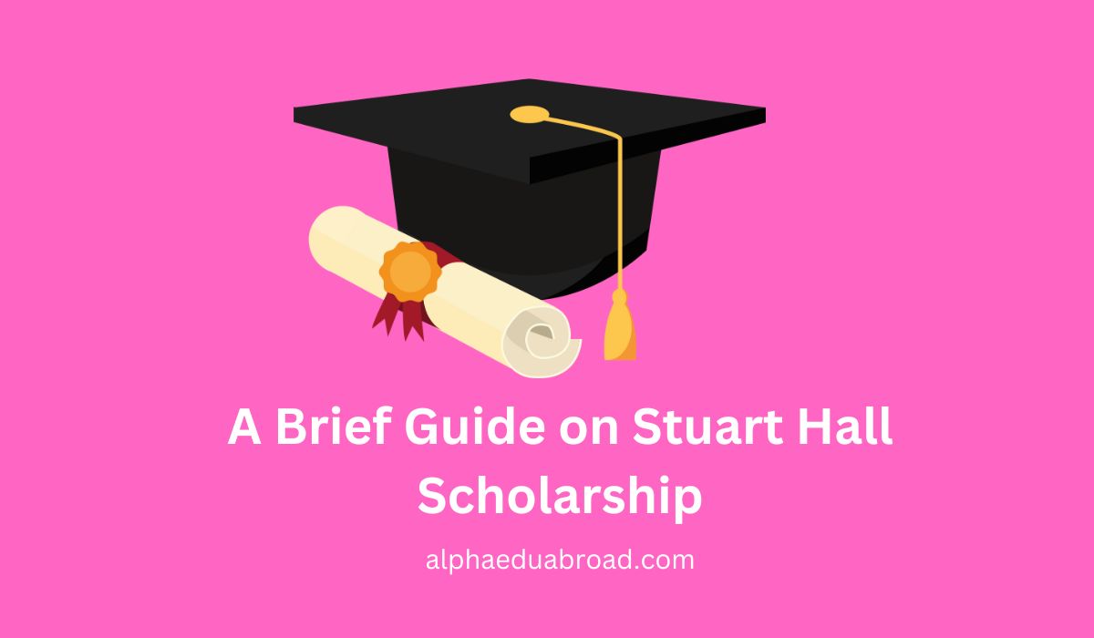 A Brief Guide on Stuart Hall Scholarship