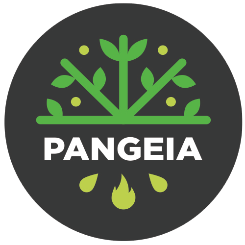 Pangeia logo 500x500 transp