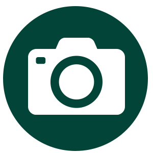 Content green icon