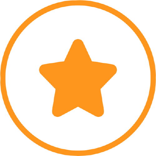 Orange star in a circle icon representing excellent features.