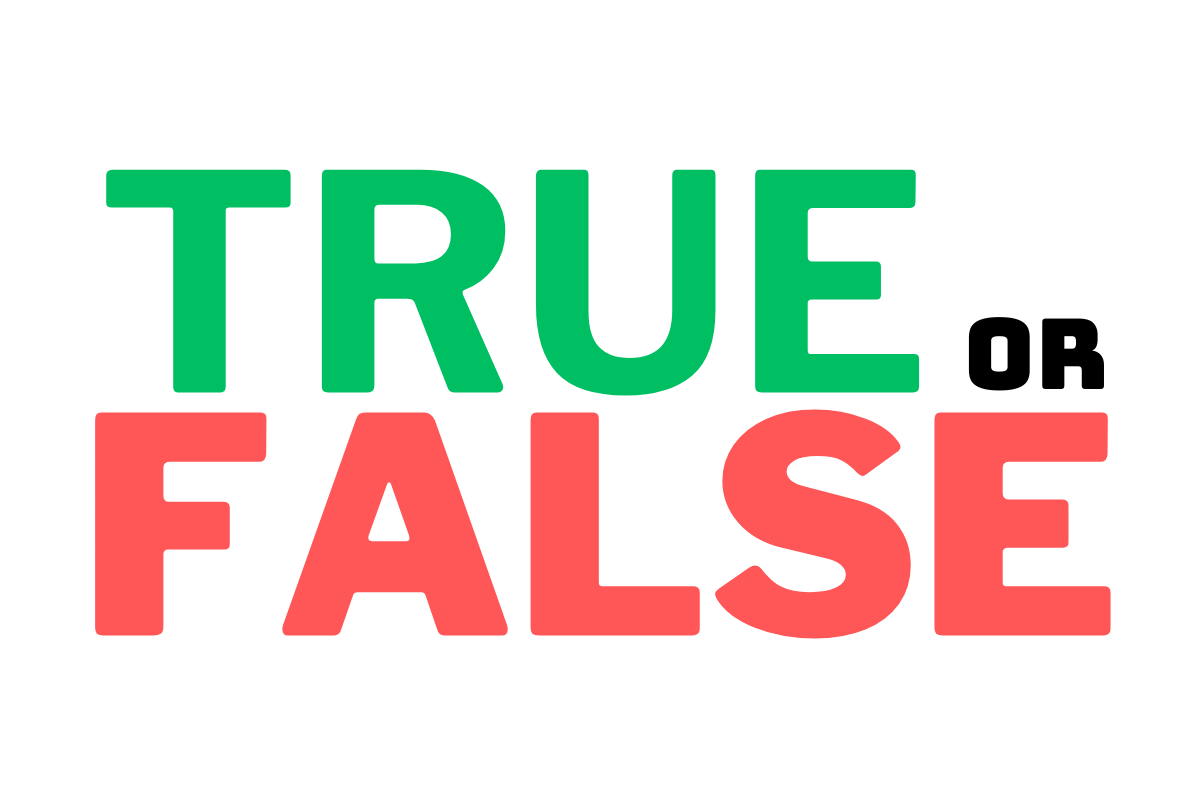 LessonBud True Or False AI Generated Worksheets