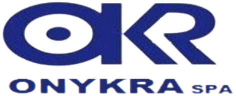 Onykra Logo