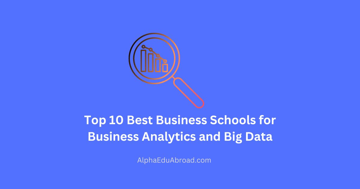 Top 10 Best Business Schools for Business Analytics and Big Data