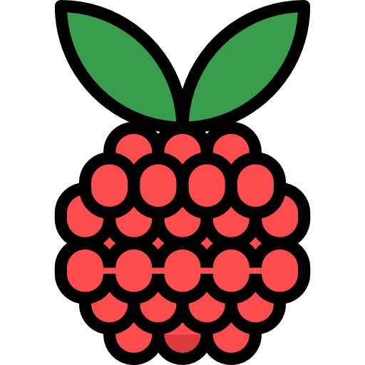 019 raspberry